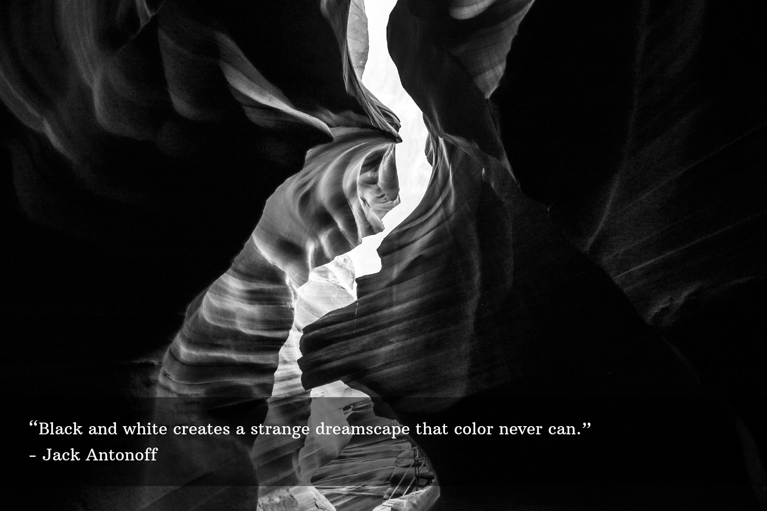 life quotes black and white