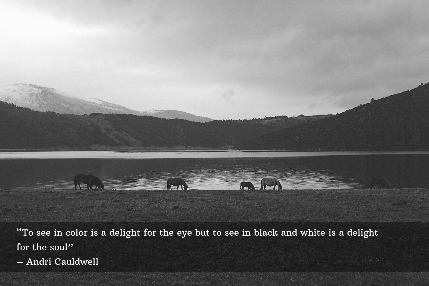 black and white photography with quotes